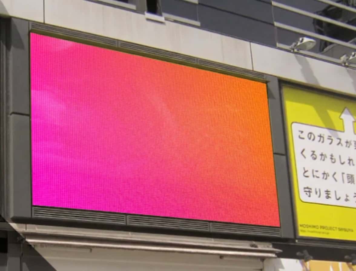 시부야 센터 빌 비전